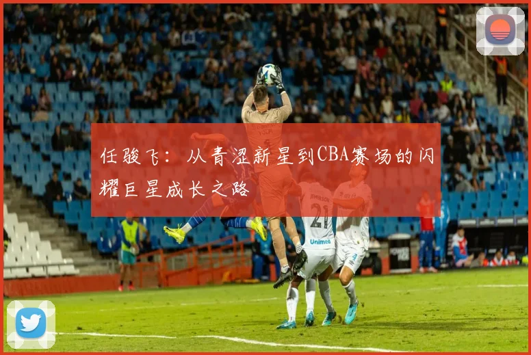 任骏飞：从青涩新星到CBA赛场的闪耀巨星成长之路